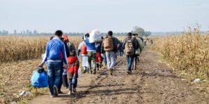 Migration, immigration and emigration