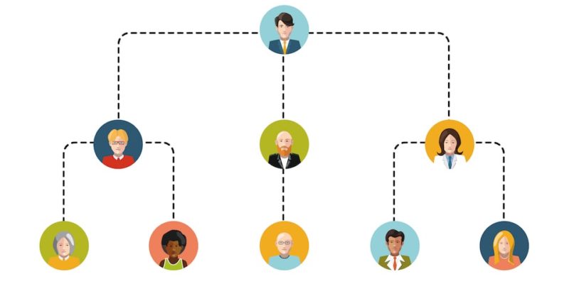 organizational structure