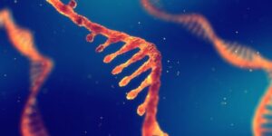 RNA
