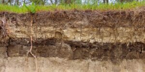 Subsoil