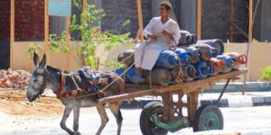 developing countries