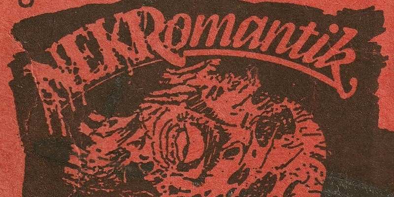 In the advertising for the premiere of the gore film Nekromantik you can guess the bloody theme.