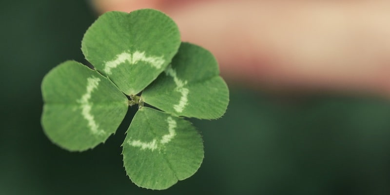 A lucky clover has four leaves.