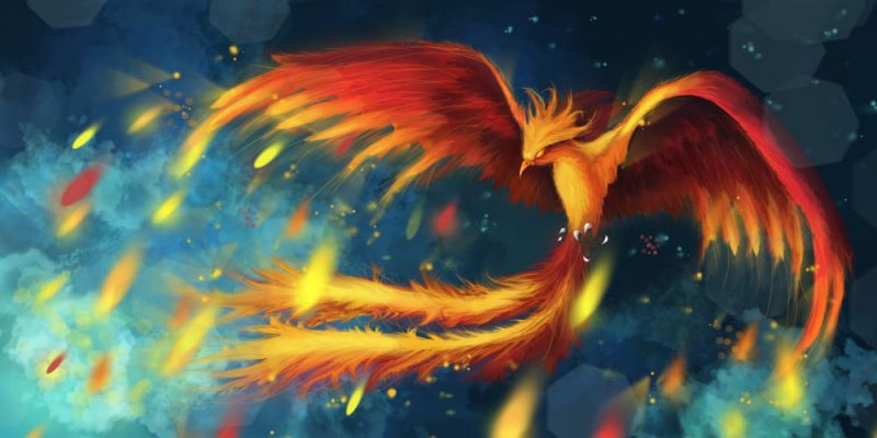 phoenix bird