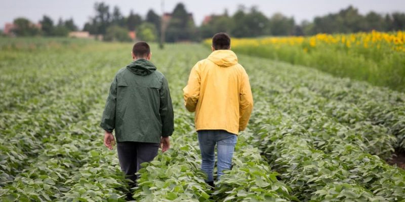 agrarian reform