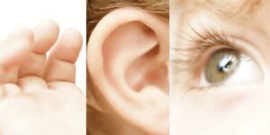 Auditory, visual and kinesthetic learning