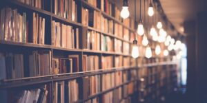 Theoretical framework
