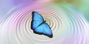 butterfly effect
