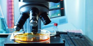 Scientific knowledge