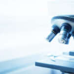 Microscope
