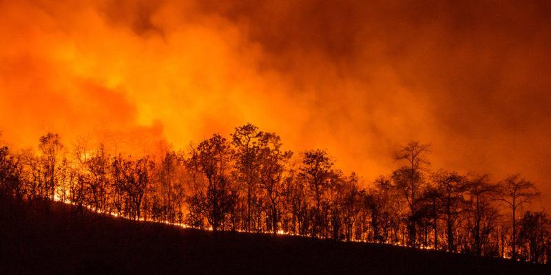 forest fire