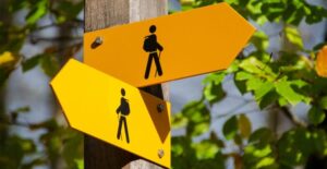 Examples of ethics and morals
