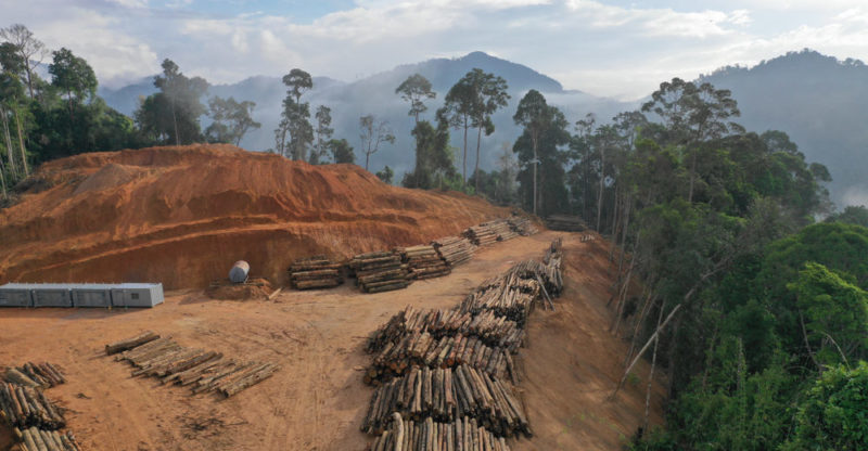Deforestation