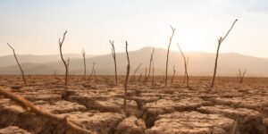 Drought