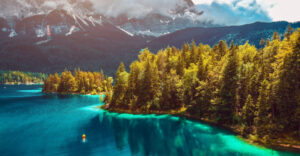 Environment