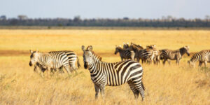 Nature reserves