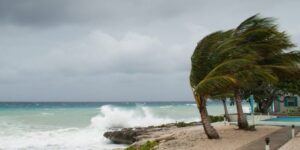 Tropical storms