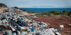ecological footprint