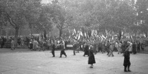 Hungarian Revolution (1956)