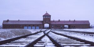 Nazi fields