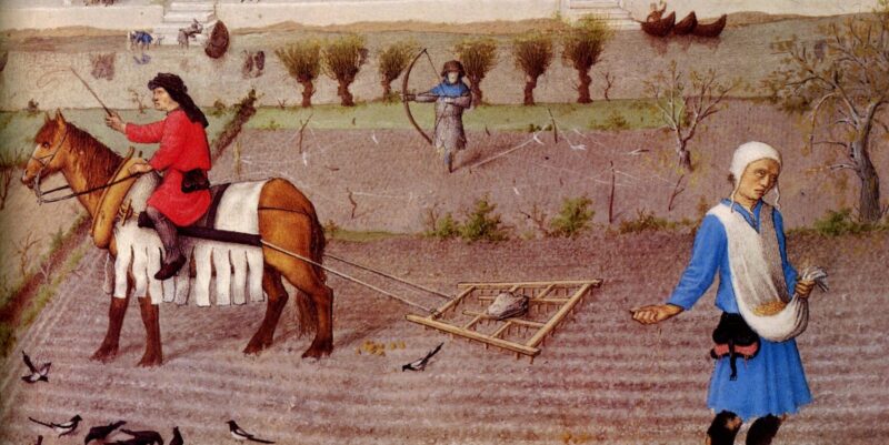 Revenue and Taxes - Feudalism